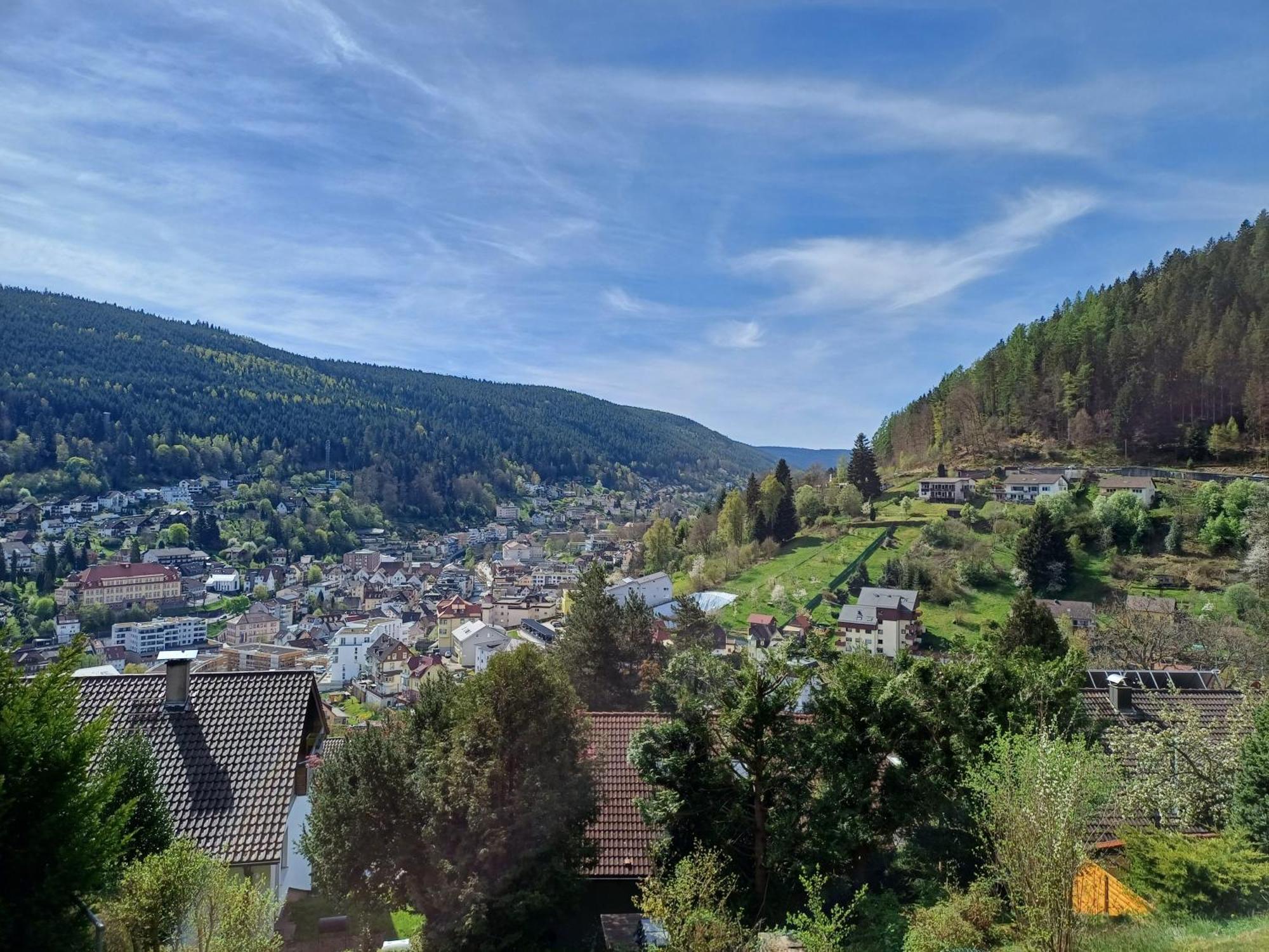 Ferienwohnung Panoramablick Bad Wildbad Eksteriør bilde
