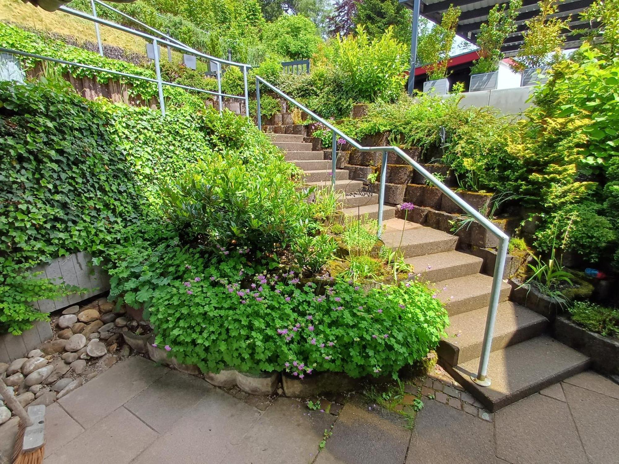 Ferienwohnung Panoramablick Bad Wildbad Eksteriør bilde